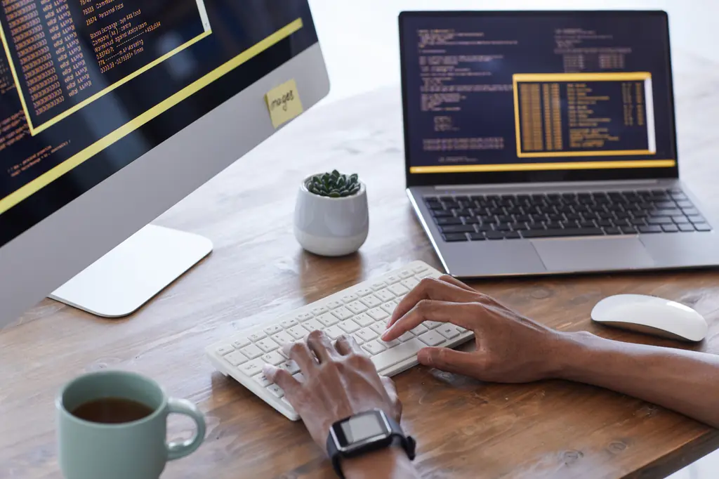 Maskot Logo Tasarımı 1 Maskot logo tasarımı